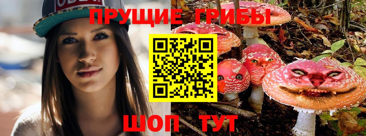 Галлюциногенные грибы MAGIC MUSHROOMS Каменск-Шахтинский