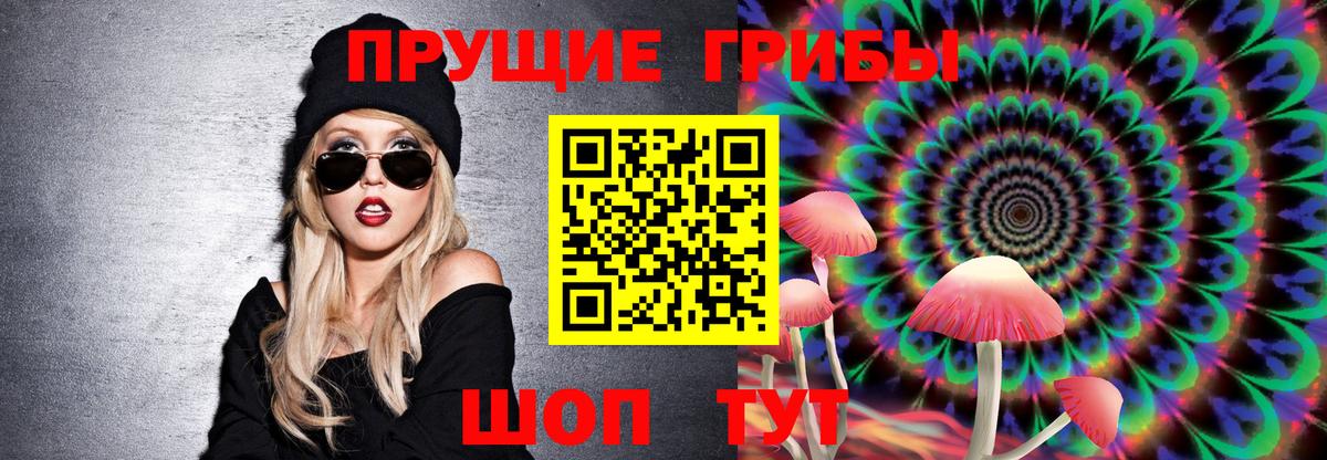 Каменск-Шахтинский  Псилоцибиновые грибы ЛСД  Псилоцибиновые грибы мицелий  Вход с VPN 